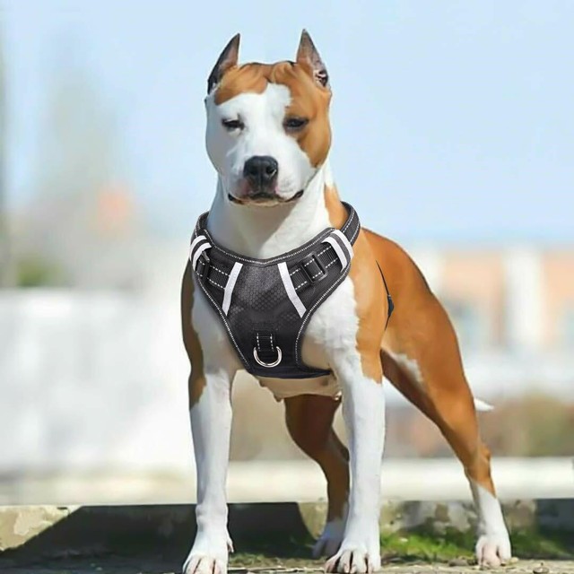 hdp big dog no pull dog harness