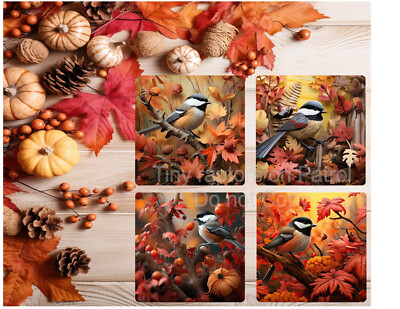 Chickadee themed neoprene drink coasters, set of 4, CHOICE, absorbent, Fall