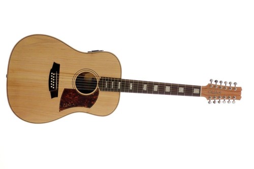 Cole Clark Fat Lady 2 EC Bunya Blackwood Acoustic Guitar | eBay