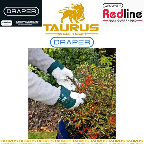 Guanti da giardinaggio DRAPER Expert X-Large in pelle premium palme in pelle UK OMAGGIO P&P - Foto 2 di 4