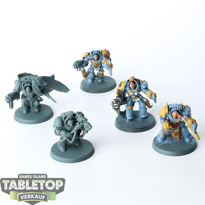 Space Wolves - 5 Wolf Guard Terminators - teilweise bemalt