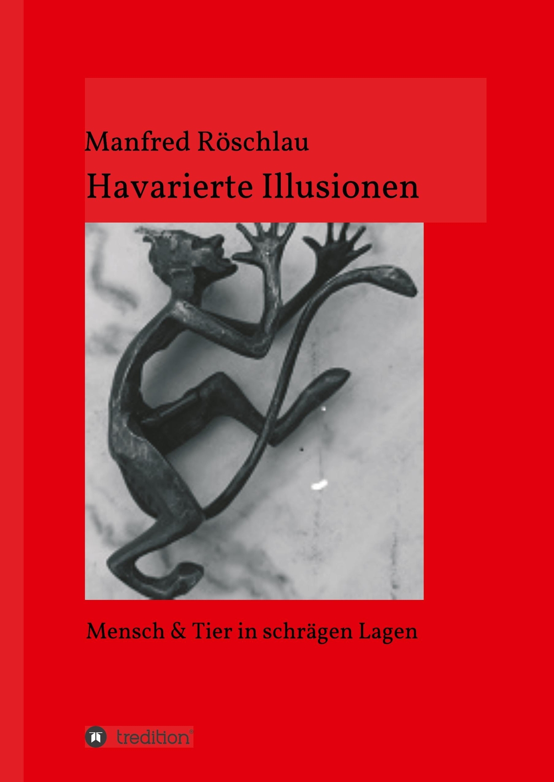 Havarierte Illusionen | Buch | 9783749746552