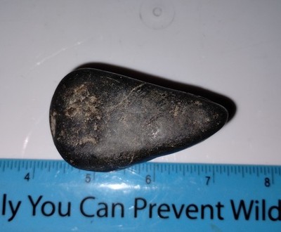Native American polished basalt stone tool celt   2.5''