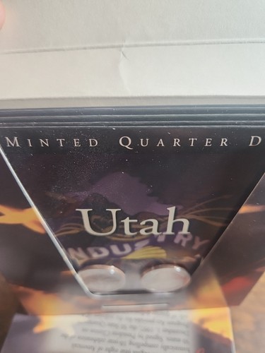 The 50 States Quarter Program - 1999-2008 - Complete Collection 100 Coins - Picture 12 of 13