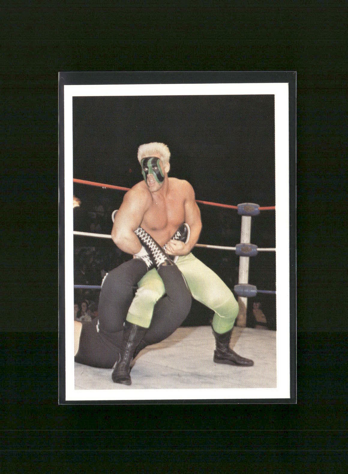 1988 Wonderama NWA #17 Sting