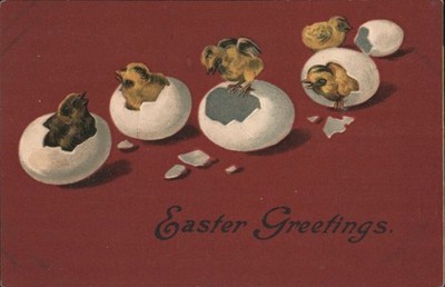 Easter Chicks Greetings with Hatching Eggs Vintage PC