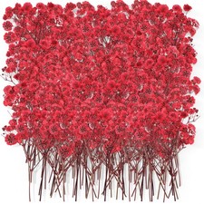 Coume 50 Pcs Dried Baby Breath Flowers, Red Mini Natural Gypsophila Dried Pre...