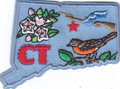 CONNECTICUT STATE SHAPE Iron On Patch 