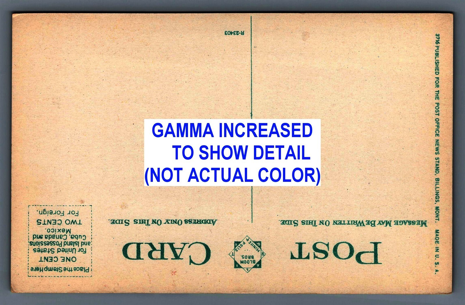 Billings Montana MT City Hall Old Vintage Postcard View 1910s Bloom Bros