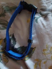 Petit collier en nylon pour chien