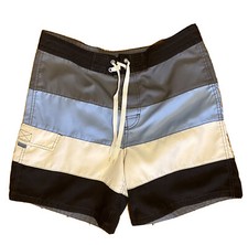 Mens Swim Shorts Size 34 Striped Blue Gray White Mossimo Supply Co.