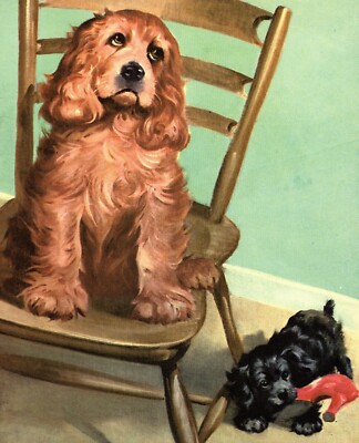 Vintage COCKER SPANIEL Print Wesley Dennis Illustration Gallery Wall Art 6934L