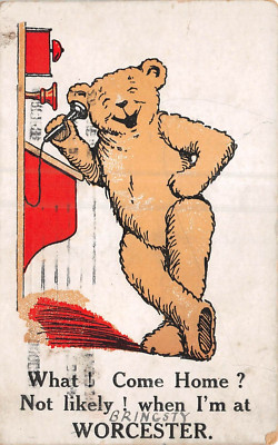 POSTKARTE COMIC WORCESTER BÄR TELEFON NACH HAUSE KOMMEN? NICHT WAHRSCHEINLICH