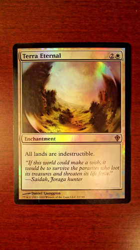 Magic: The Gathering – Terra Eternal (Immortalità Della Terra) – Rara Da Worldwake (WWK) – Carta Singola MTG