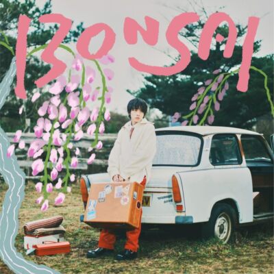 świerk bonsai Świerk Srebrny Bonsai