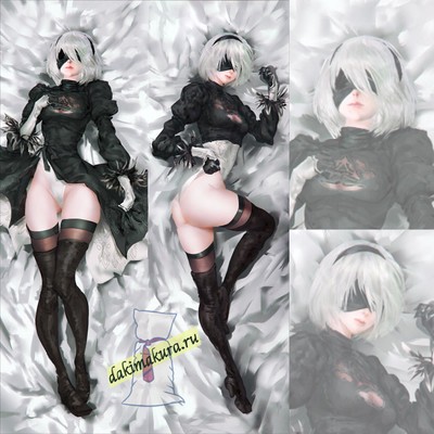 2b dakimakura