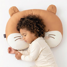 Toddler Pillow Organic Cotton Hypoallergenic 13x19 Removable Cover for Kids