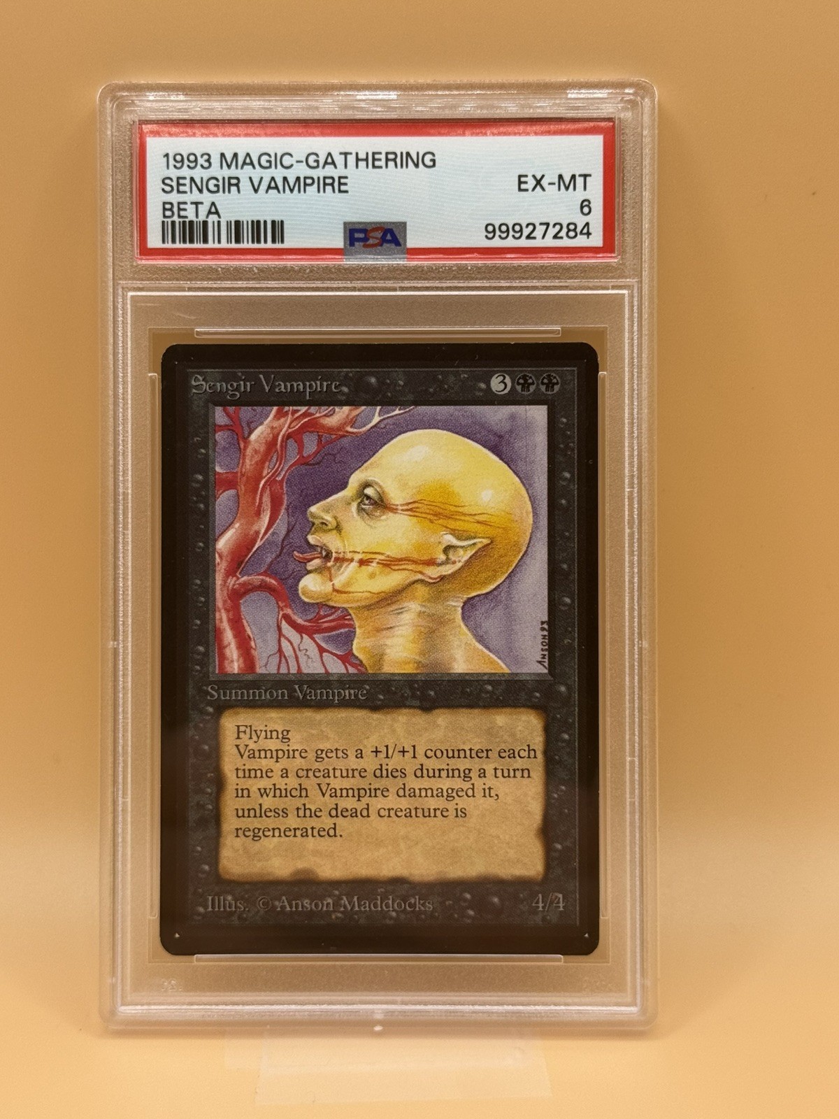 Sengir Vampire - Magic The Gathering – Beta Edition – MTG 1993 - Graded PSA 6