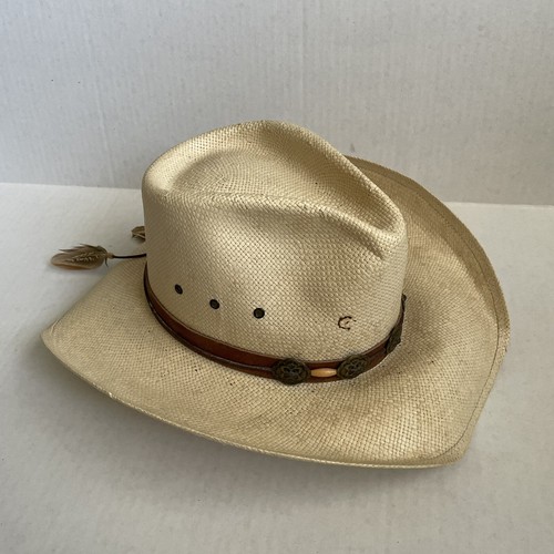 HORSE STRAW COWBOY WESTERN HAT 