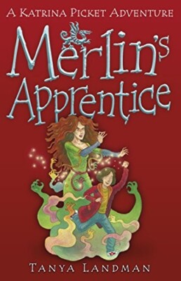 Merlin's Apprentice by Tanya Landman (Paperback) Book
