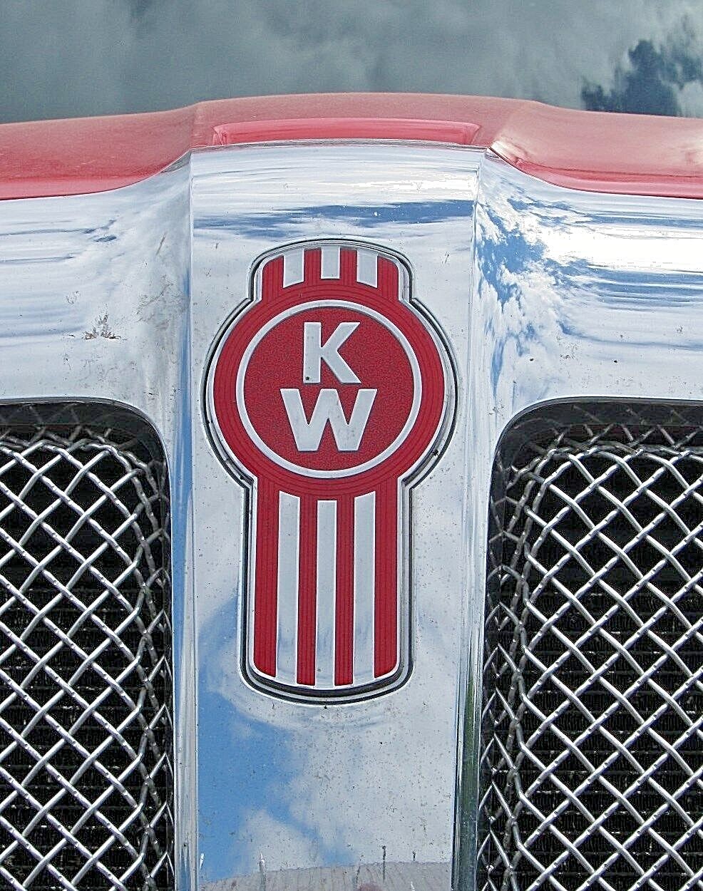 ~ BRAND NEW OEM KENWORTH BUG LOGO METAL HOOD EMBLEM FOR HOOD SIDE OR ...