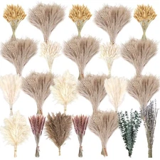 710Pcs Natural Dried Pampas Grass Decor, 9 Types Dried Flowers for Vase Boho ...