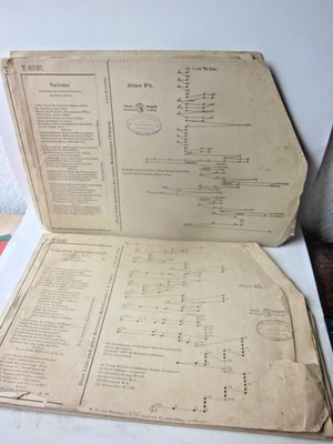 31026d 17 Notenblätter Zither Hansa 6 Akkorde Vorkrieg gut mit TEXTTEIL - Bild 1 von 2