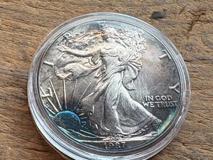 1987 Walking Liberty | eBay