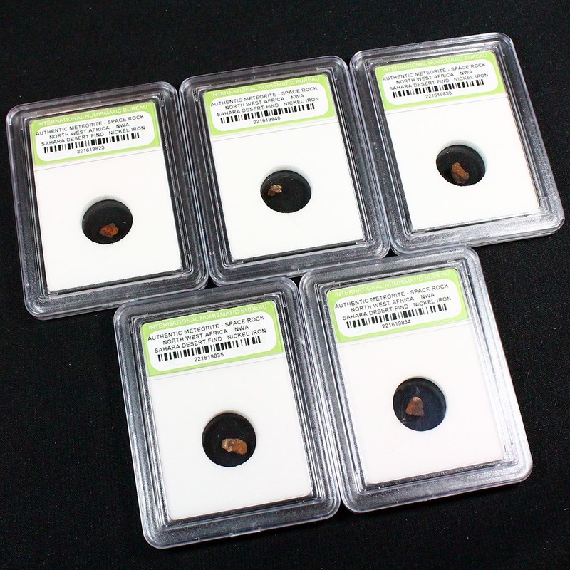 5 Slabbed Northwest Africa NWA Meteorites - Nickel Iron 11