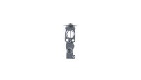 NEU - Mahle AVE163000P Expansionsventil, Klimaanlage FüR DS Opel Peugeot