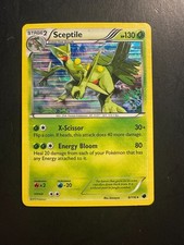 2013 Pokemon B&W Plasma Freeze Sceptile 8 /116 Holographic Foil Holo Rare LINES on eBay