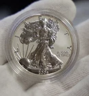 2006 P US Reverse Proof Silver Eagle $1 Original Capsuale