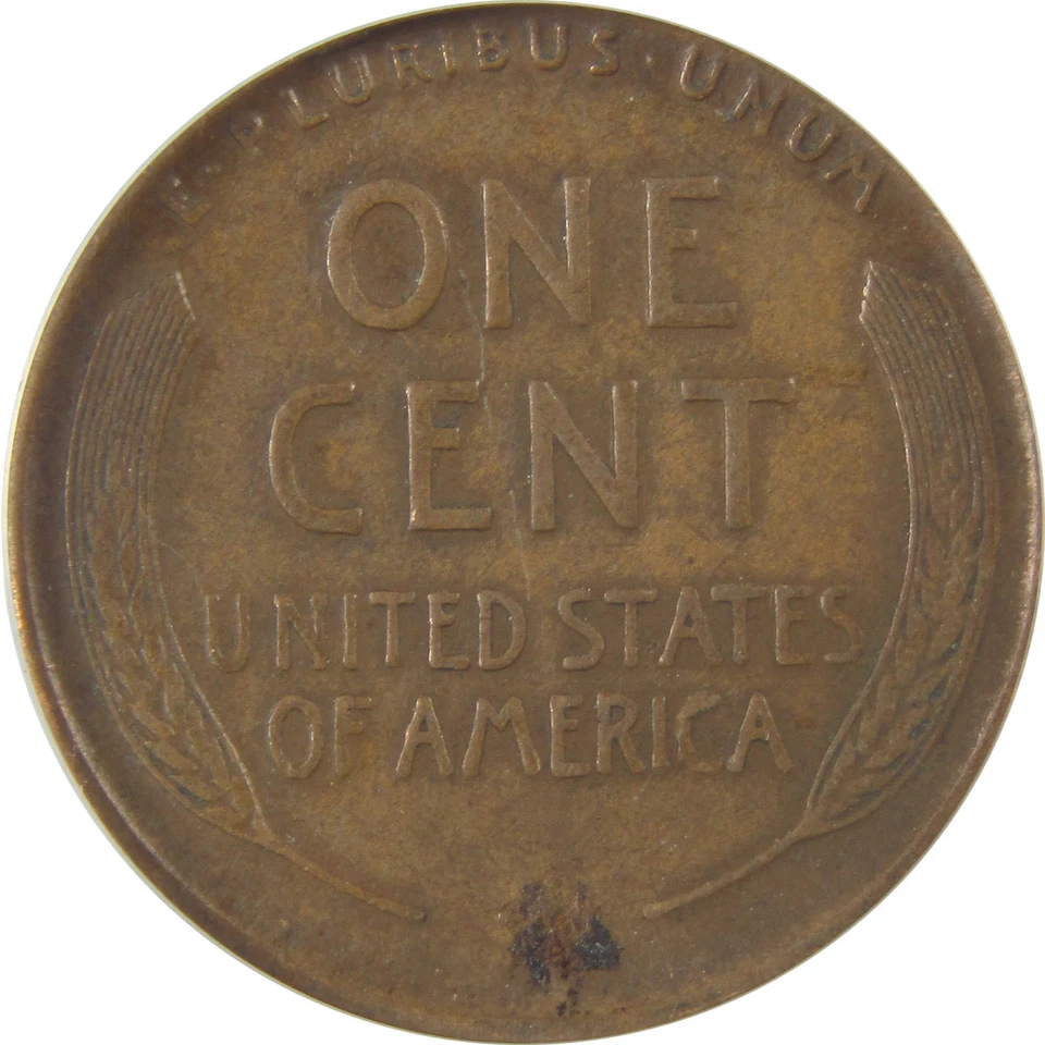 1924 D Lincoln Wheat Cent VF 25 ANACS Penny 1c Coin SKU:I22134 - Image 4 of 4