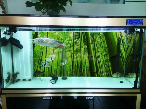 Aquarium Background Poster Bamboo Forest PVC Fish Tank Decorations Landscape - Picture 4 of 5