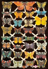 VICTORIAN STYLE DIE CUT PAPER SCRAPS MIXED BUTTERFLIES ef7336 GERMANY