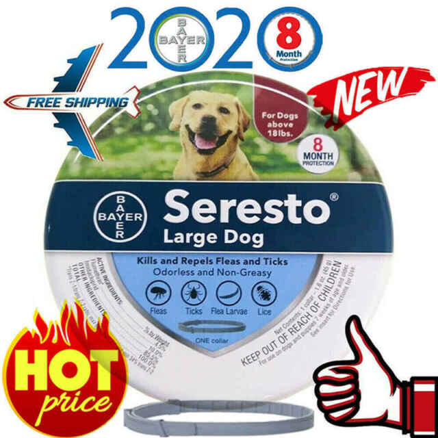 Featured image of post Ebay Seresto Get the best deal for seresto from the largest online selection at ebay com