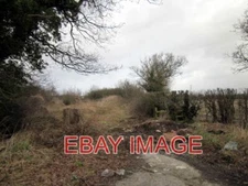 PHOTO  DISUSED LANE NEAR LEA-BY-BACKFORD THIS DISUSED AND OVERGROWN LANE AT THE