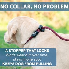 Mad Dog Products 1/4 Inch Signature English Slip Lead Dog Leash - Made in USA