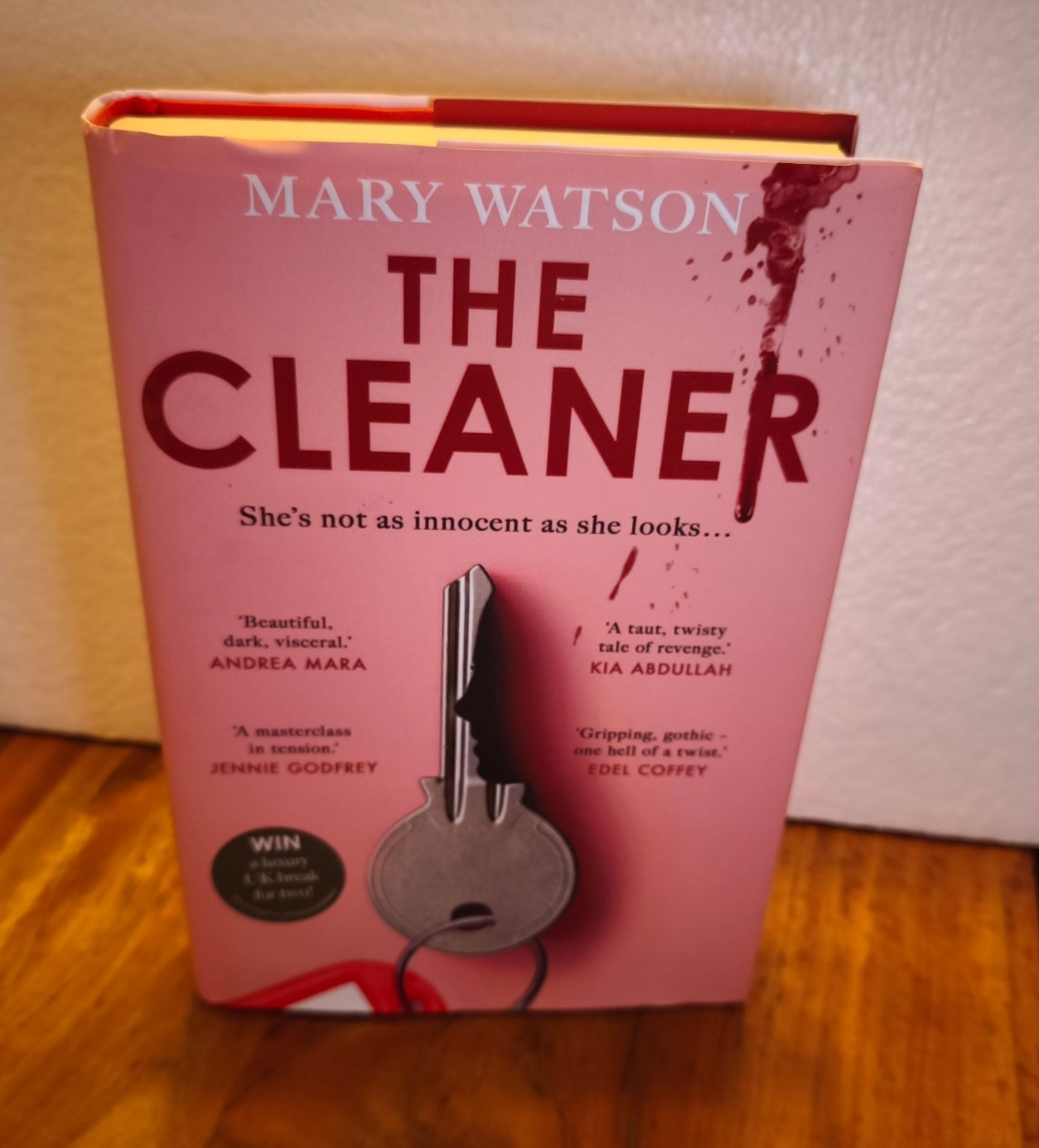 The Cleaner by Mary Watson Hardback Book