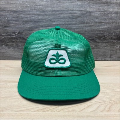 Vintage Pioneer Hi-Bred Hat Cap Snap Back Green Trucker Mesh Farm Seed Logo USA