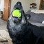 bennick24