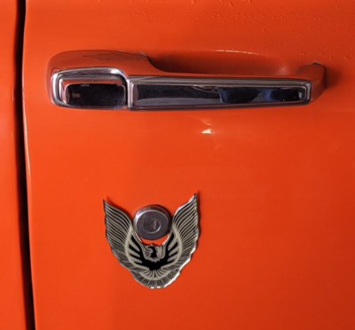 【海外限定/中古】  Originals Firebird バッジ Vintage 80s 90s Pontiac Firebird/Trans Am BLACK Eagle Bird Stick