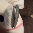 Squishmallows 8” Zero the Ghost Dog Nightmare Before Christmas Disney Plush NEW — photo 9