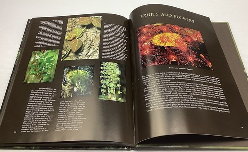 Libro de fotografía Rainforest Journey Into Nature’s Richest Garden Densey Clyne - Imagen 20 de 24