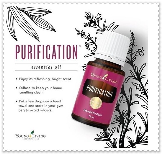 Young Living 100 Pure Purification Essential Oil 15 Ml Made in USA Old Label for sale online eBay