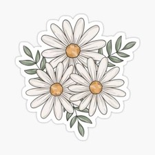 Common Daisy Floral Flowers Spring Daisies Bundle Vinyl Decal Sticker
