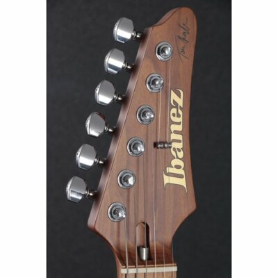 Ibanez Electric Guitar TQM1 Tom Quayle AZ Signature Model