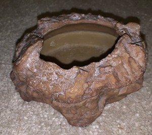 Exo Terra Mealworm Feeder Dish Geckos Reptiles 5 Across