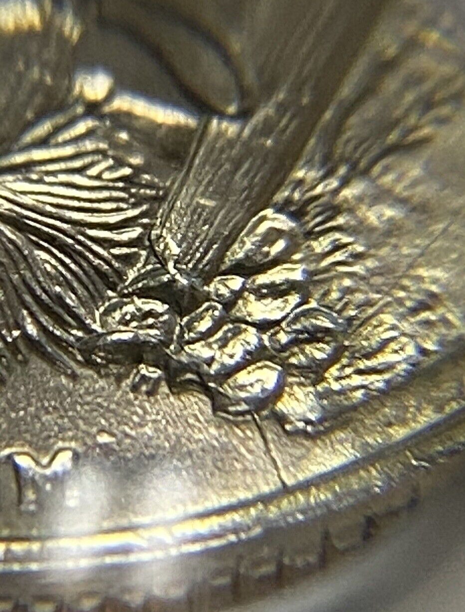 Picture 10 of 19