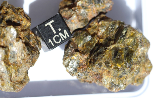 Meteorit NWA 7831 Diogenit HED Achondrit Meteorit, 100 Gramm - Bild 8 von 17